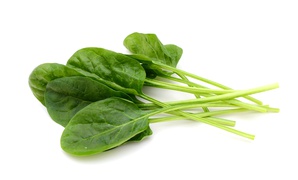 Lettuce, salad - Spinach