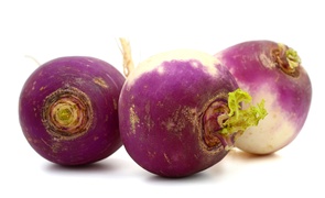 Root vegetables - Turnip