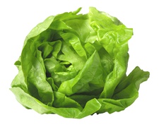 Lettuce, salad - Round lettuce