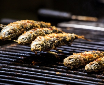 grilled fish