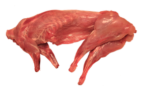Bear, boar and small game - Wild rabbit