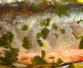 close up fish baking PS