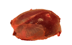 Big game - Roe venison joint