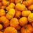 all about pumkins
