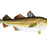 Skrei PS