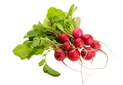 Radishes