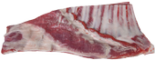 Lammtunnbringa
