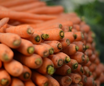 carrots
